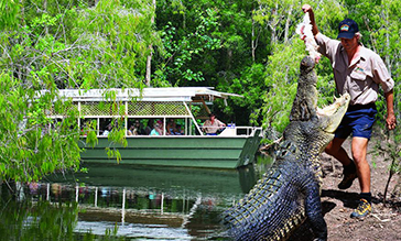 Hartleys Crocodile & Wildlife Adventures
